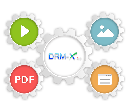 এন্টারপ্রাইজ ডিআরএম সলিউশন