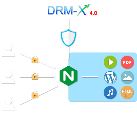 ওয়ার্ডপ্রেস ভিডিও / বিষয়বস্তু ডিআরএম সুরক্ষা